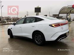 بي واي دي سيل 06 DM-i